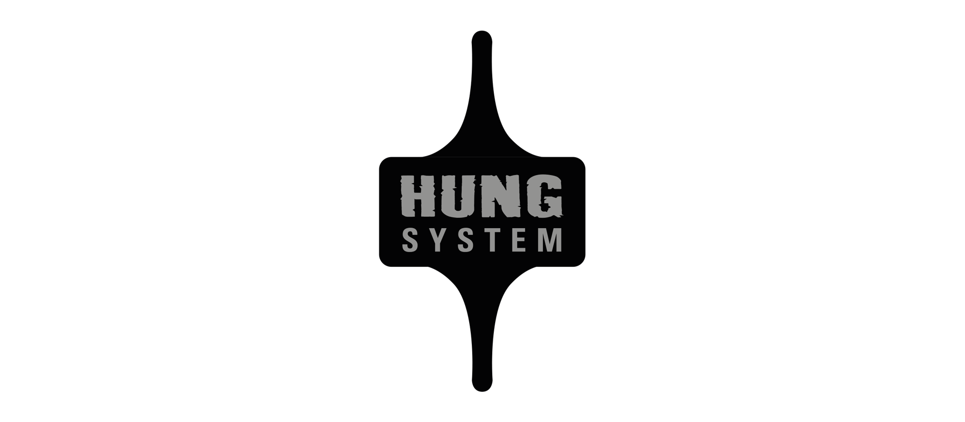 Hung System