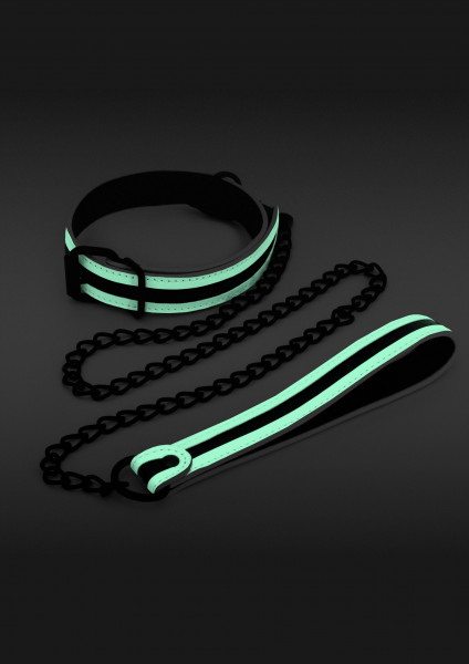 GLO in the Dark Collar & Leash