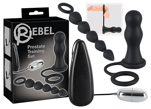 Rebel Prostate Training Set