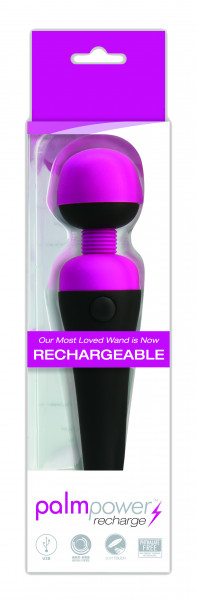 PalmPower Massager Recharge