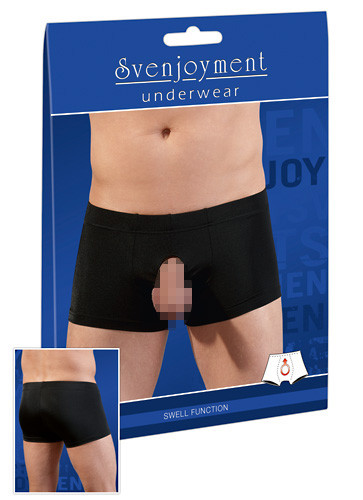 Svenjoyment Herren-Pants L